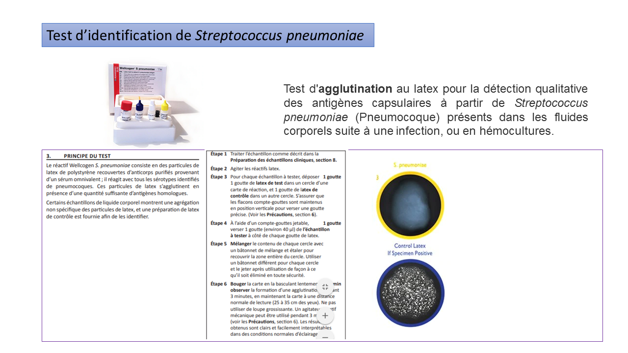 Diapositive5