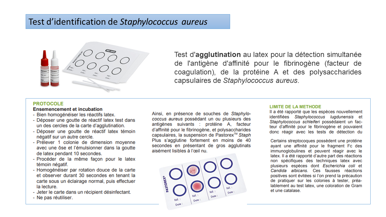 Test d'identification de Staphylococcus aureus